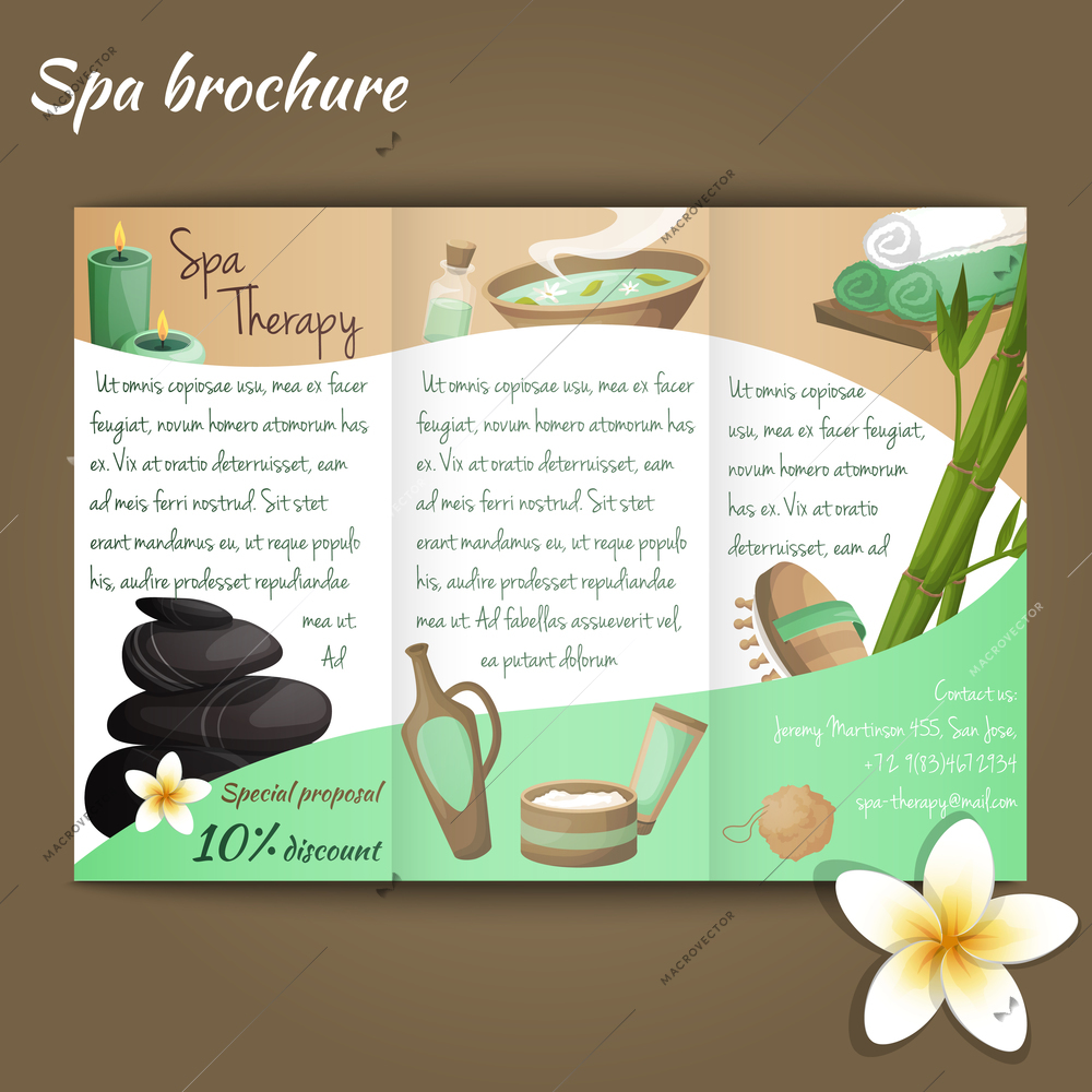 Spa salon discount brochure with beauty and health products vector illustration