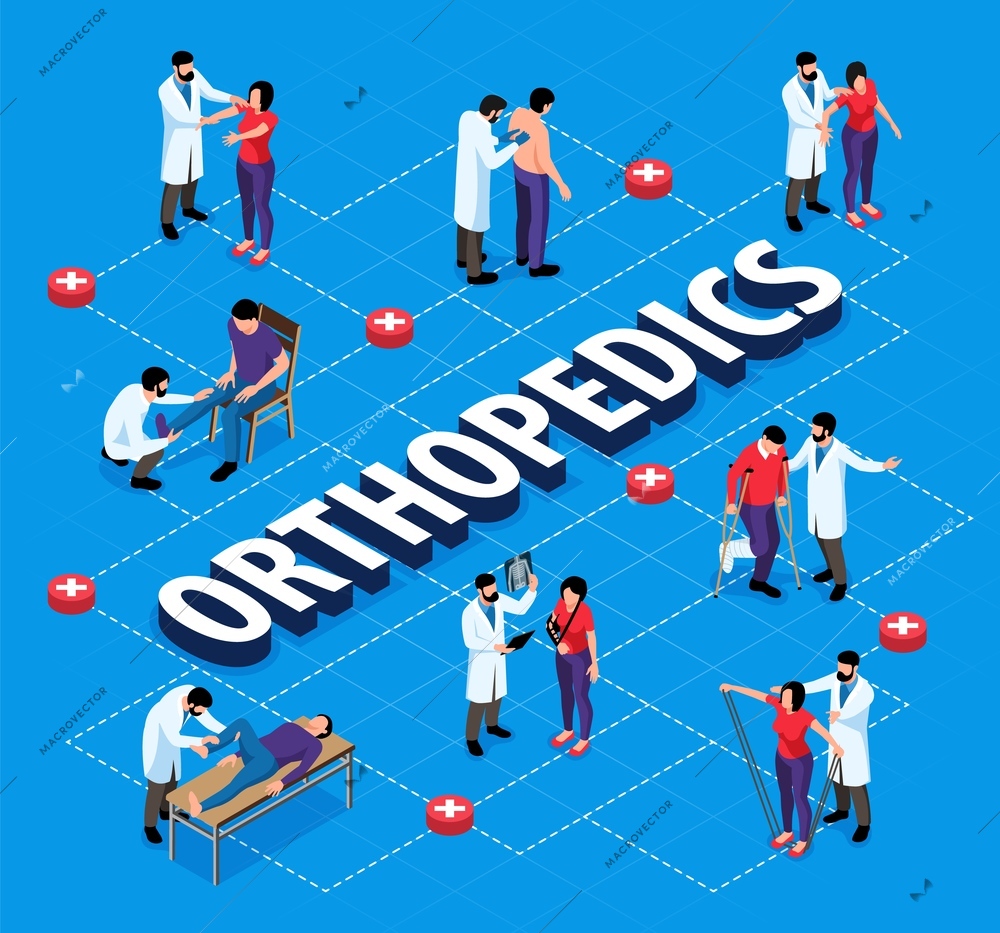 Orthopedics isometric flowchart with Orthopedists examining people with injury and helping with rehabilitation vector illustration