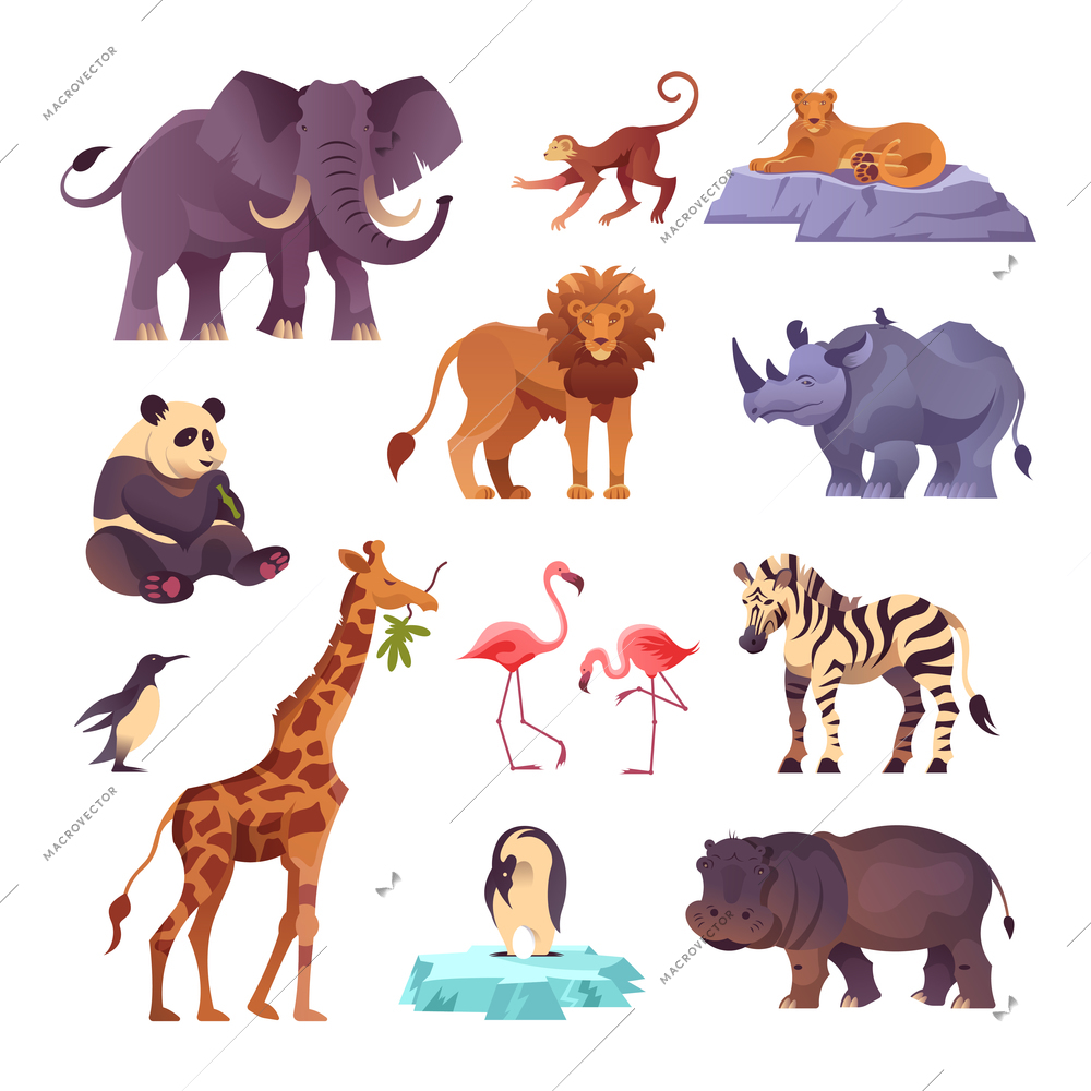 Set of animals from different continents of the planet collected in the zoo flat vector illustration