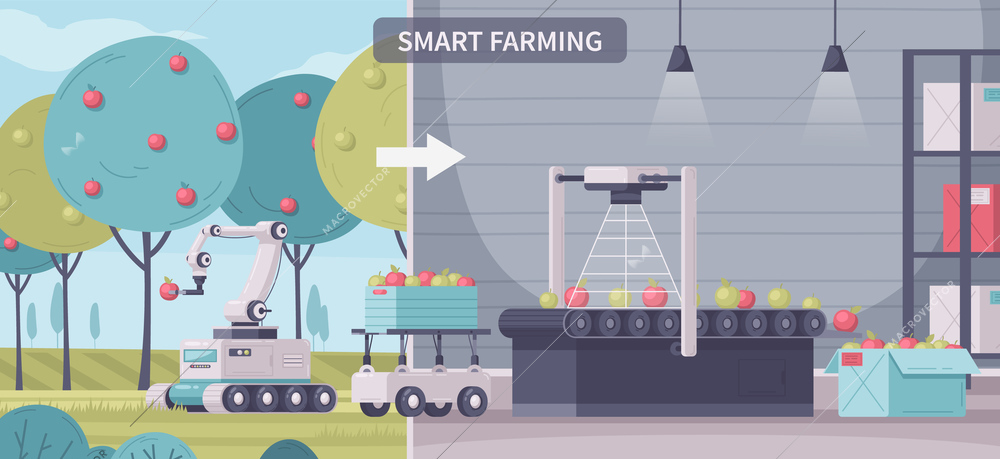 Smart farming cartoon composition with text and views of outdoor garden and conveyor with automated machines vector illustration