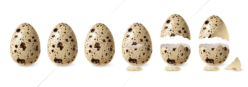 Realistic quail  cracked and open egg set isolated vector illustration