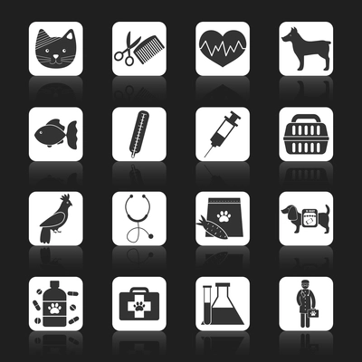 Veterinary pet health care medical icons set black isolated vector illustration