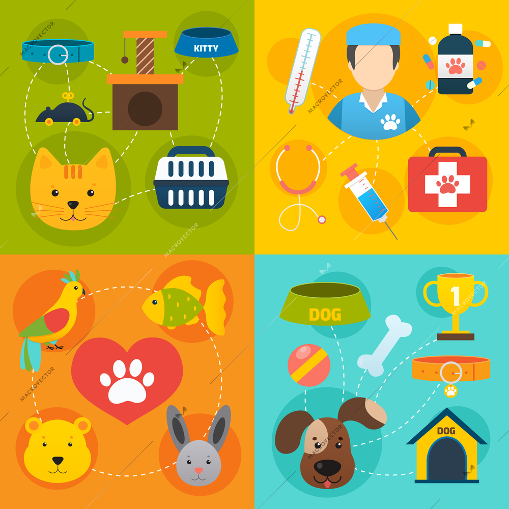 Veterinary pet food and health care infographic flat isolated vector illustration