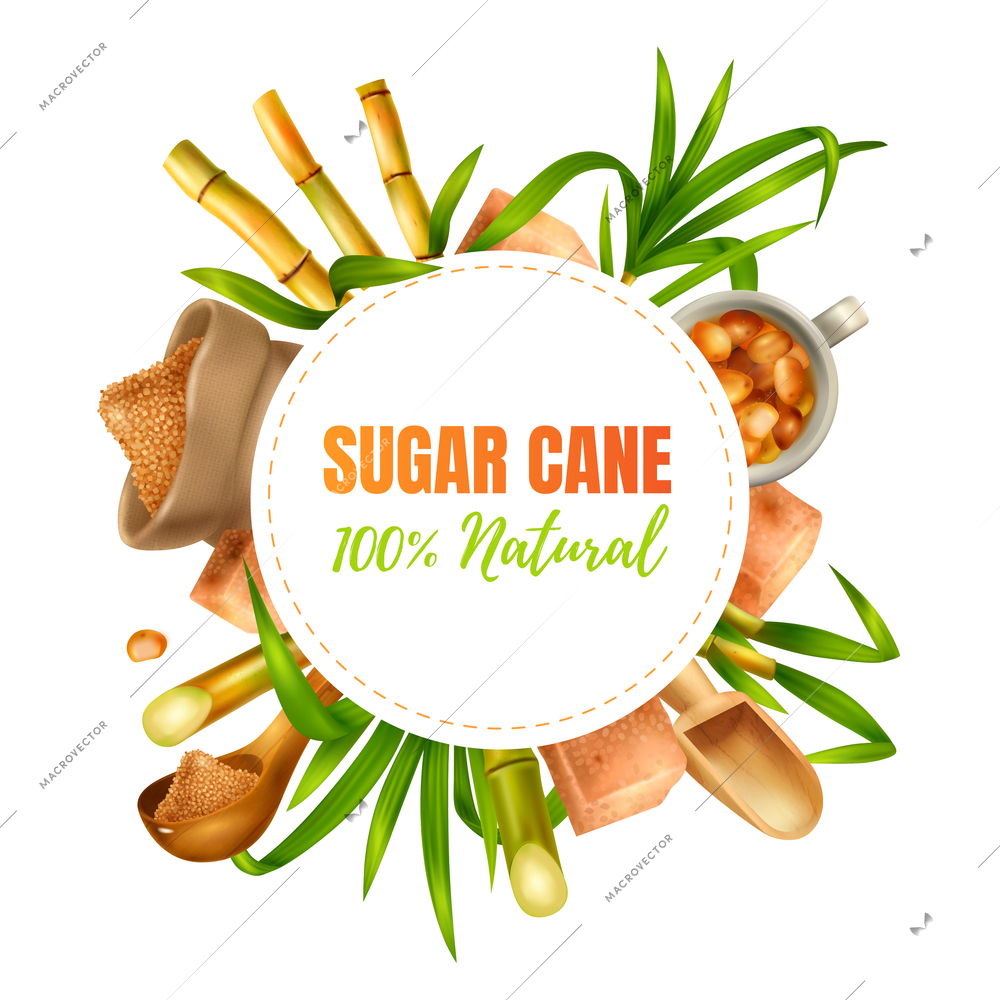 Sugar cane realistic design concept with manufacture  and production symbols vector illustration