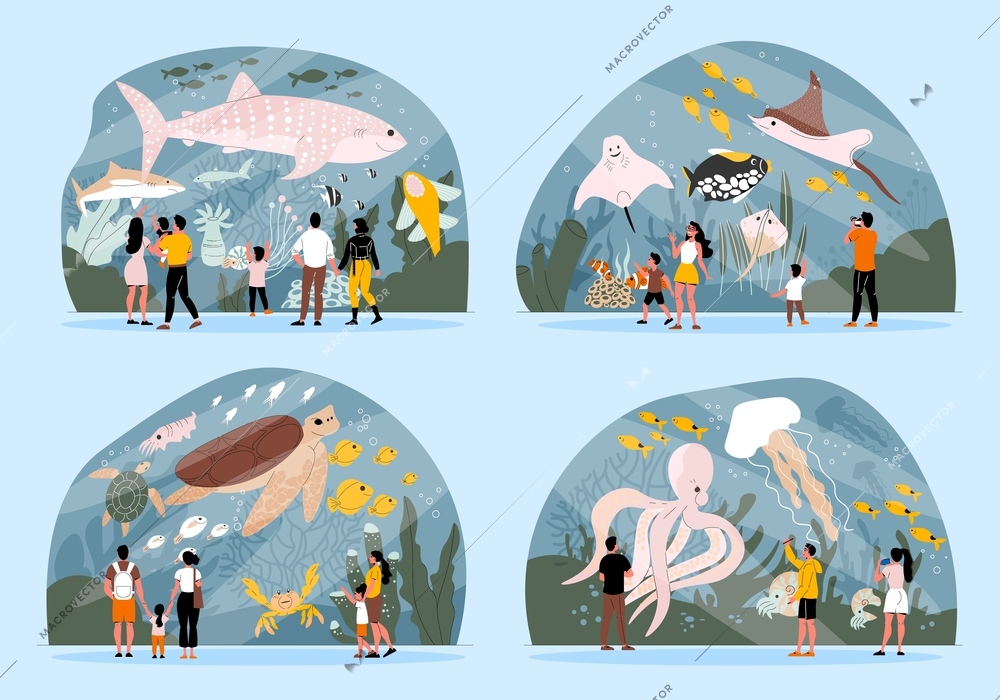 Flat 2x2 set of compositions with oceanarium visitors watching octopus shark tortoise fish jellyfish in big aquarium isolated vector illustration