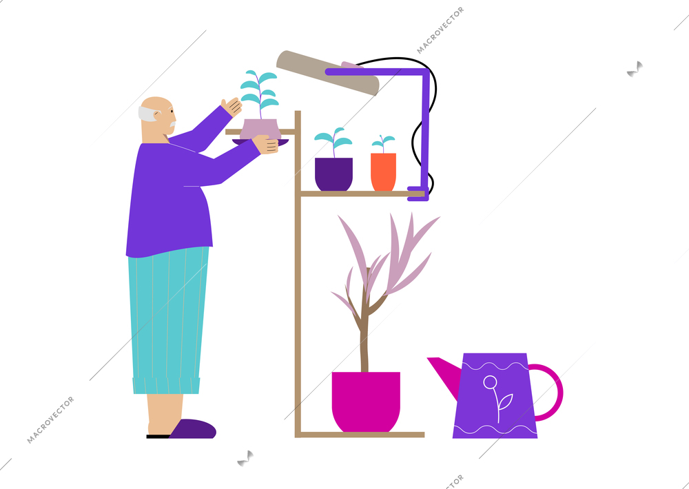 Hobby gardening flat composition with senior man looking after flowers vector illustration