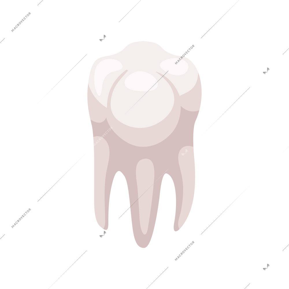 Healthy white human tooth isometric icon vector illustration