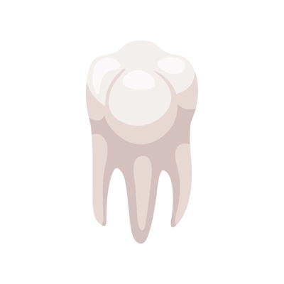 Healthy white human tooth isometric icon vector illustration