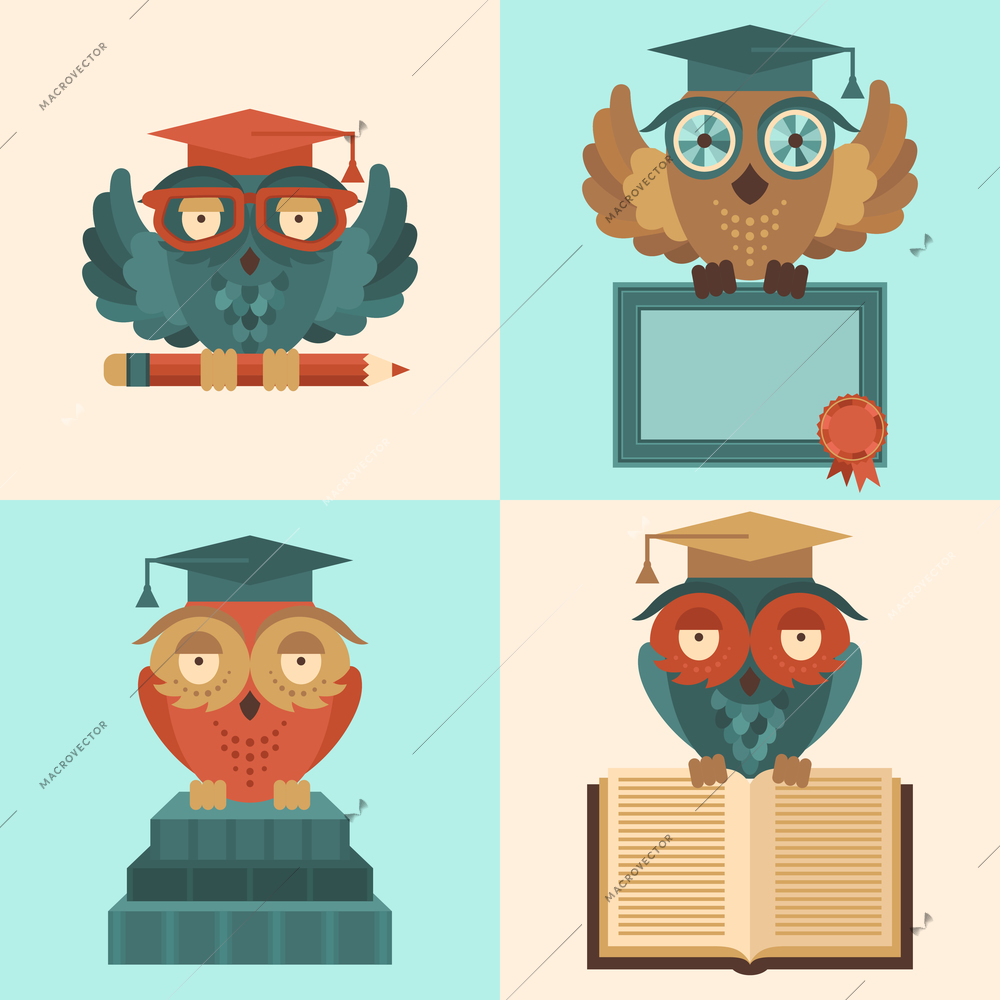 Flat colored owl in graduation caps with books and diploma silhouette set isolated vector illustration