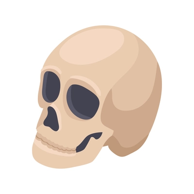 Isometric icon with human skull on white background vector illustration