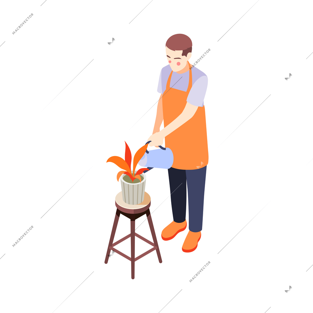 Man in apron watering potted plant 3d isometric vector illustration