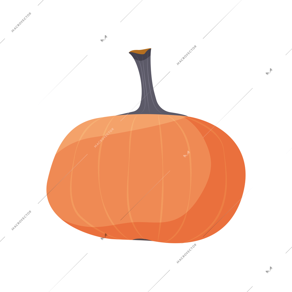 Fresh ripe pumpkin flat icon on white background vector illustration