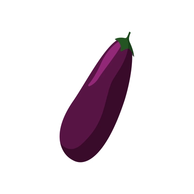 Flat icon with raw eggplant on white background vector illustration