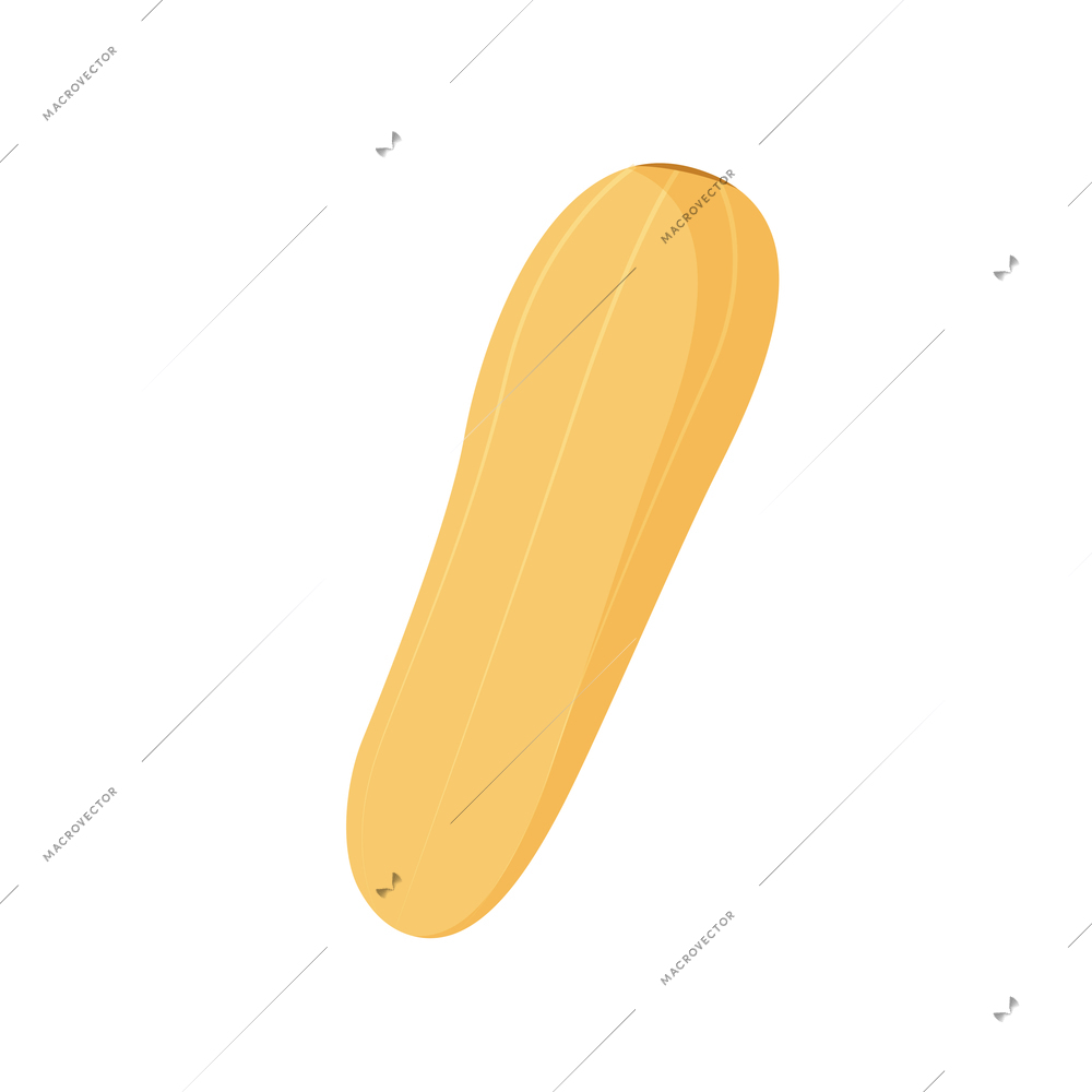 Flat icon with yellow squash vegetable marrow zucchini vector illustration