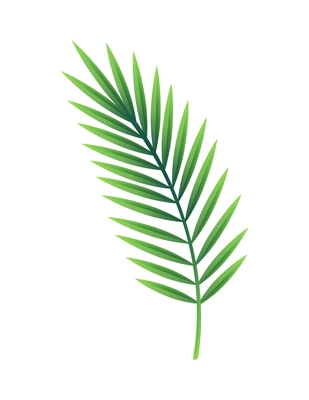 Realistic icon with big green paper leaf on white background vector illustration