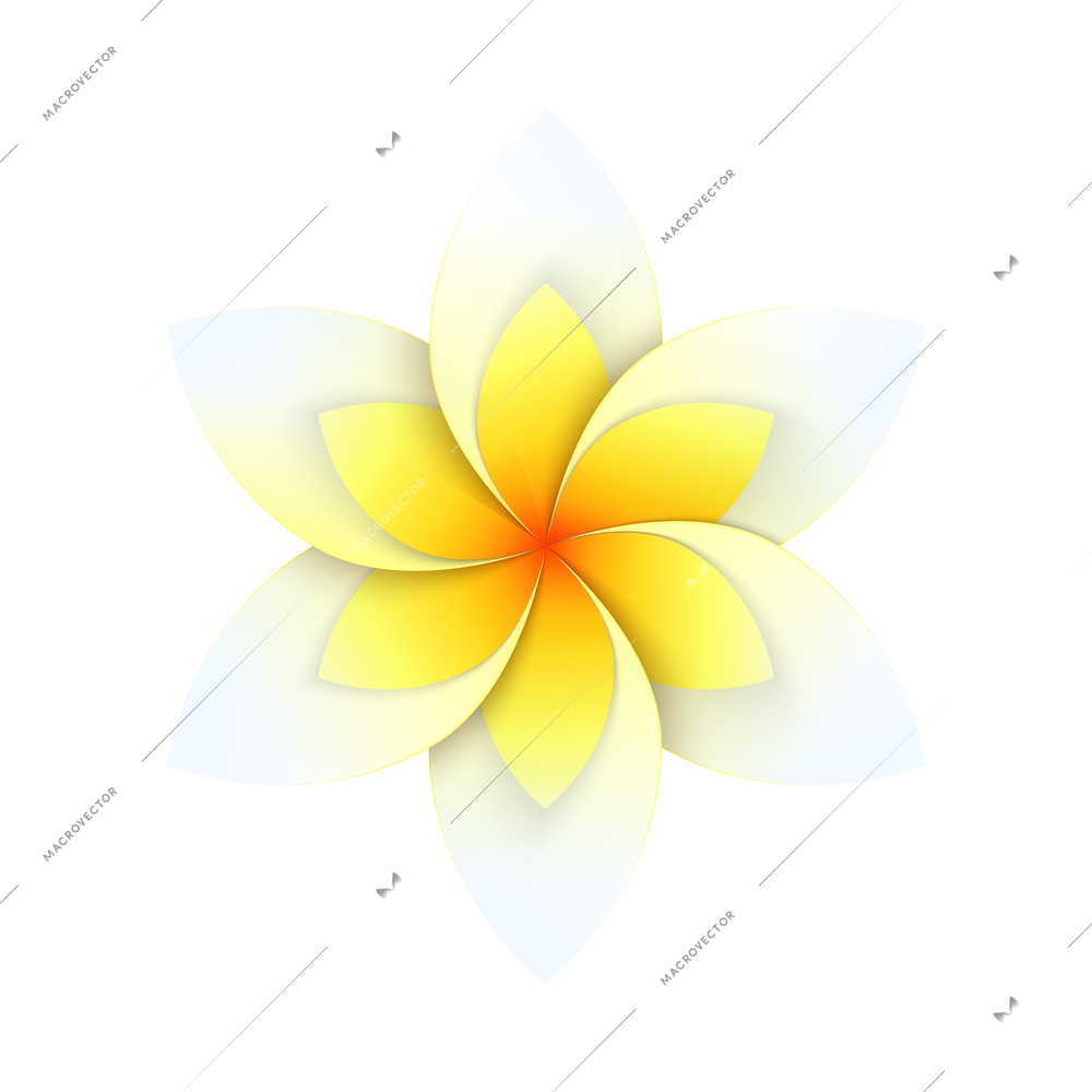 Blooming paper flower in white and yellow color realistic vector illustration