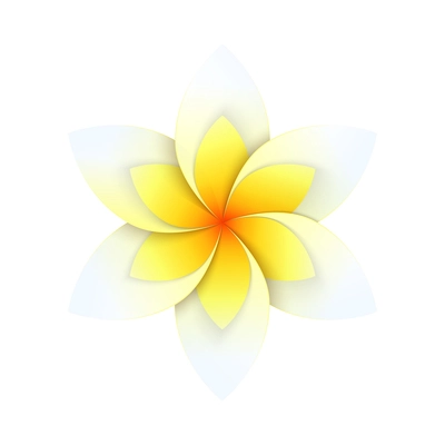 Blooming paper flower in white and yellow color realistic vector illustration