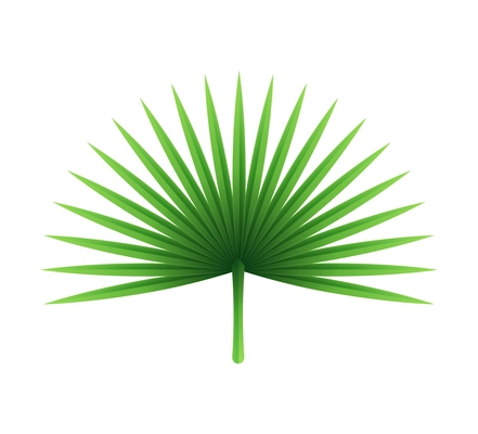 Big tropical green paper leaf on white background realistic vector illustration