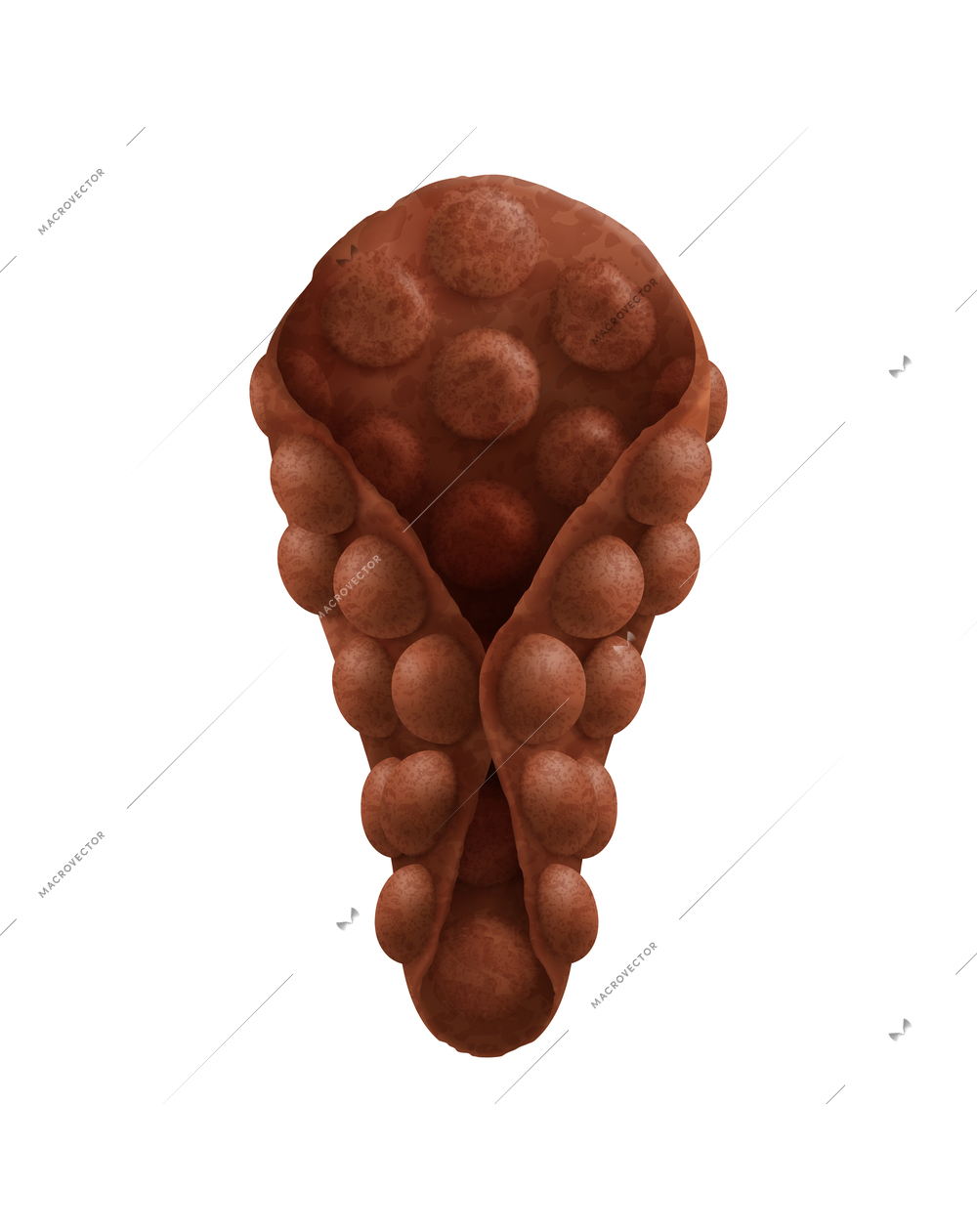 Realistic chocolate hong kong waffle cone on white background vector illustration