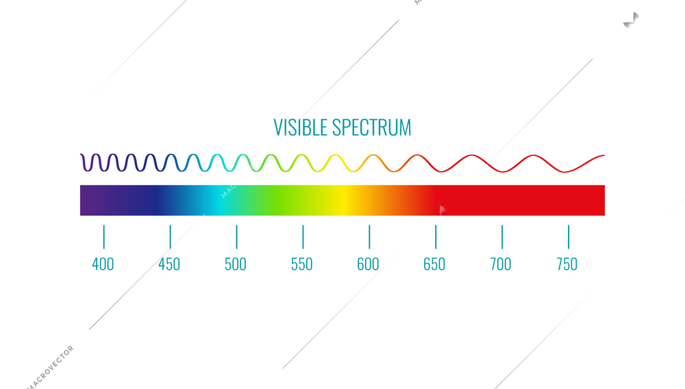 Visible color spectrum realistic infographics on white background vector illustration