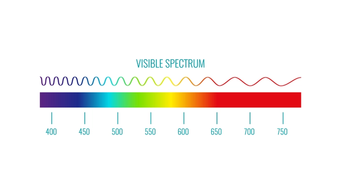 Visible color spectrum realistic infographics on white background vector illustration