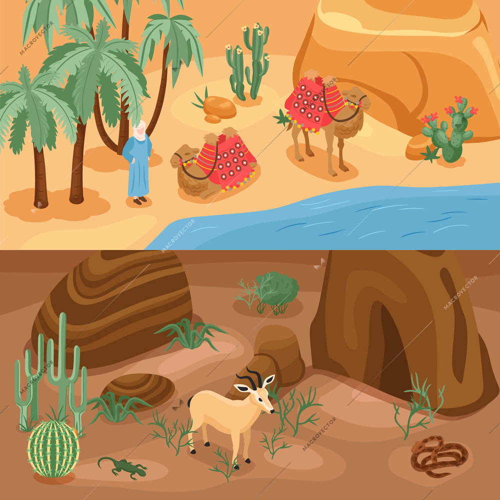 Desert horizontal banners set with camel and oasis isolated isometric vector illustration