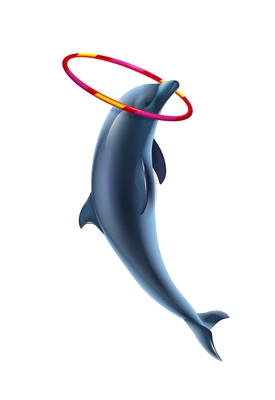 Dolphin circus realistic composition with jumping dolphin holding hoop on head vector illustration