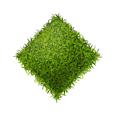 Realistic green grass form composition with isolated piece of diamond shaped grass lawn vector illustration