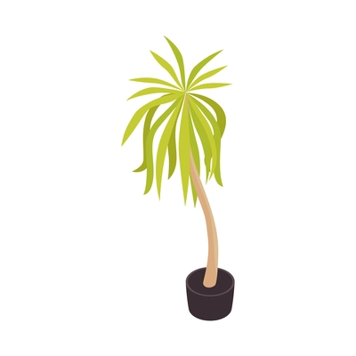 Isometric children room composition with isolated image of palm tree in flower pot vector illustration