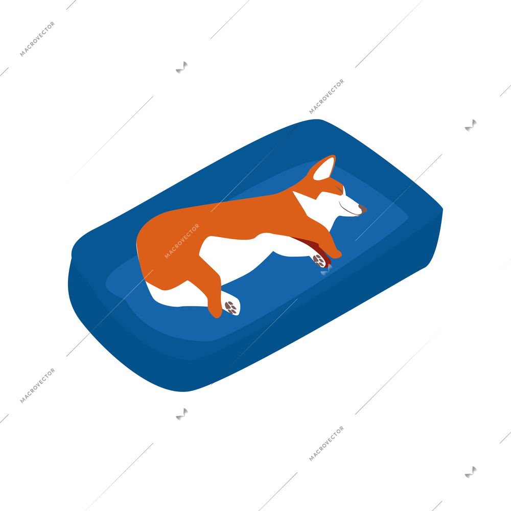 Isometric dog sitter walker service composition with corgi dog sleeping in bed vector illustration