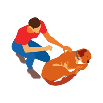 Isometric dog sitter walker service composition with male character touching sleeping dog vector illustration