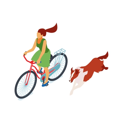 Isometric dog sitter walker service composition with girl riding bike and running dog vector illustration