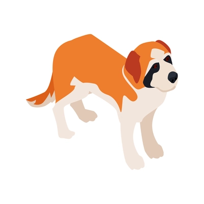 Isometric dog sitter walker service composition with isolated image of st bernard dog vector illustration