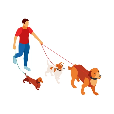 Isometric dog sitter walker service composition with man walking three different dogs simulateniously vector illustration