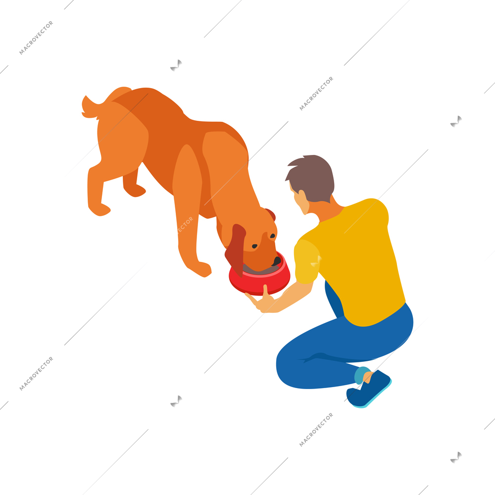 Isometric dog sitter walker service composition with human character holding dish with dog food vector illustration