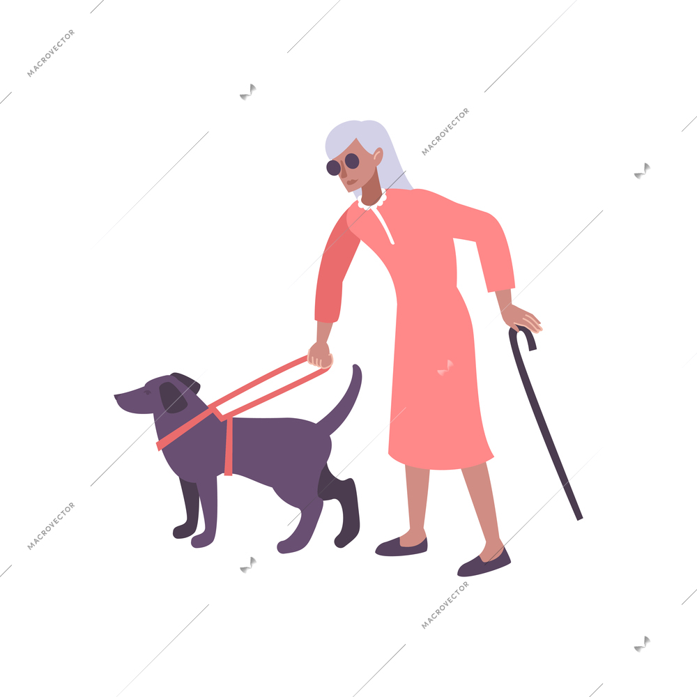 Dog breeding flat composition with bling woman led by dog on blank background vector illustration