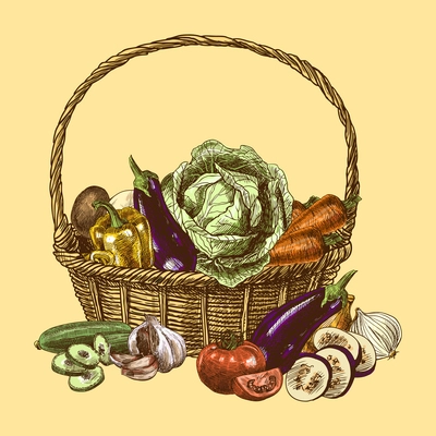 Vegetables in basket natural organic fresh food color sketch decorative set vector illustration