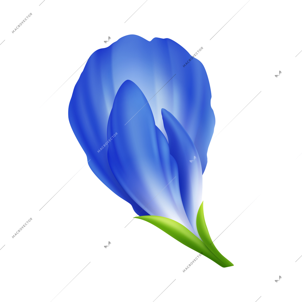 Blue matcha tea realistic composition with isolated image of blue flower vector illustration