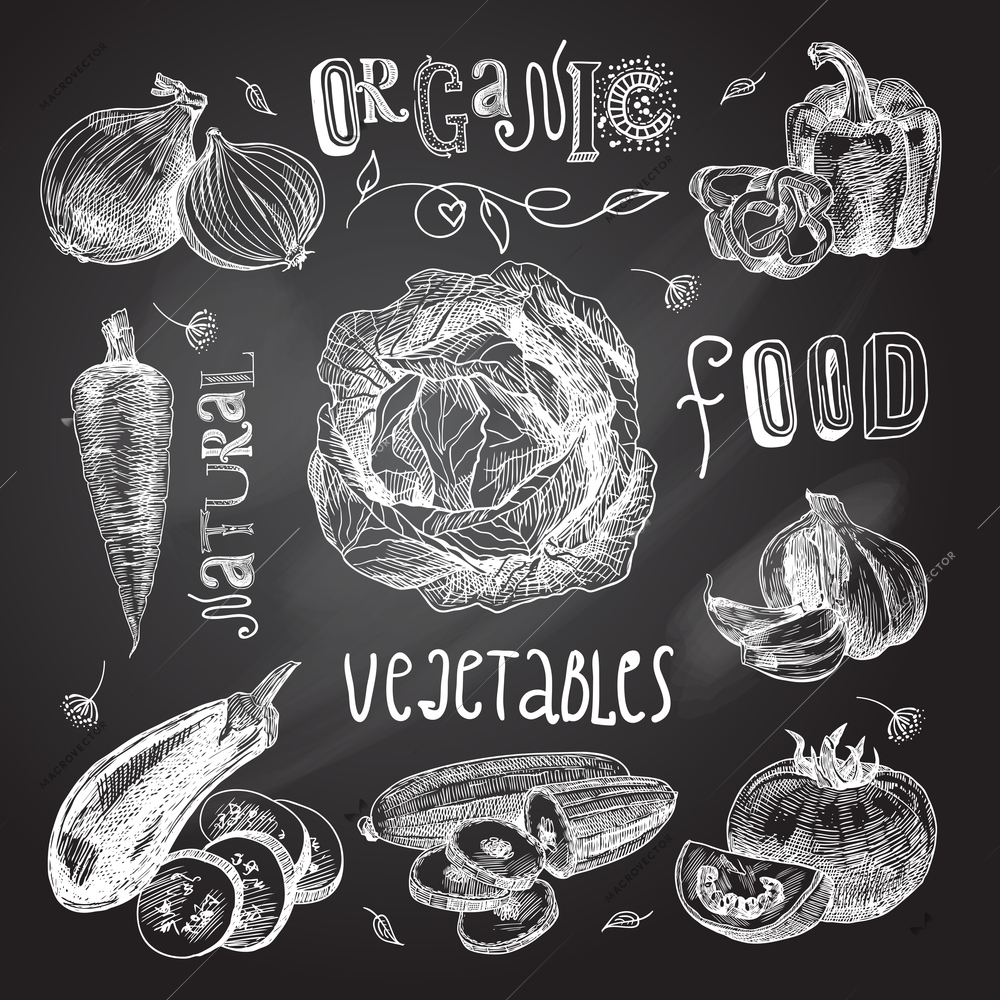 Vegetable natural organic fresh food chalkboard set isolated vector illustration