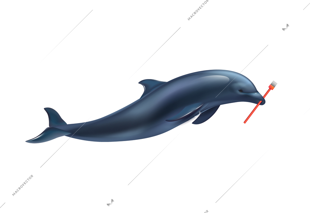 Dolphin circus realistic composition with dolphin holding painters brush vector illustration