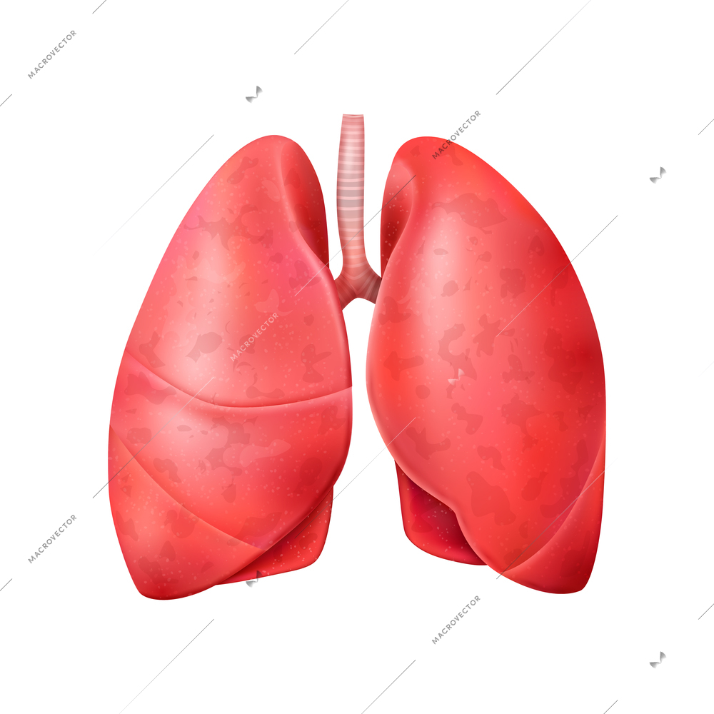 Realistic world pneumonia day composition with isolated image of healthy human lungs vector illustration