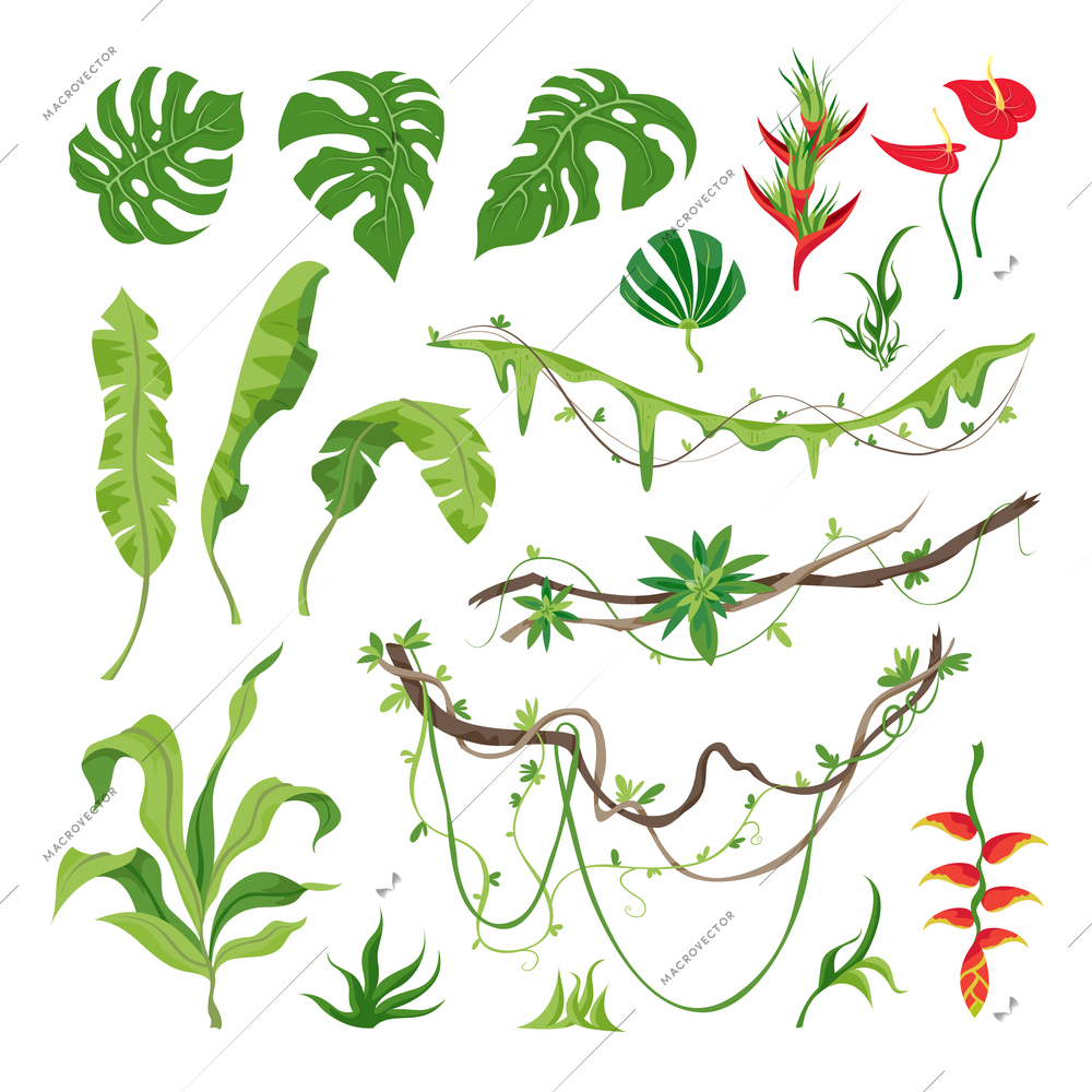 Flowers leaves and branches of various jungle plants set flat vector illustration