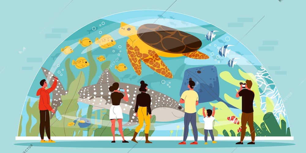 People watching and taking photo of sea animals swimming inside glass aquarium in shape of dome flat vector illustration