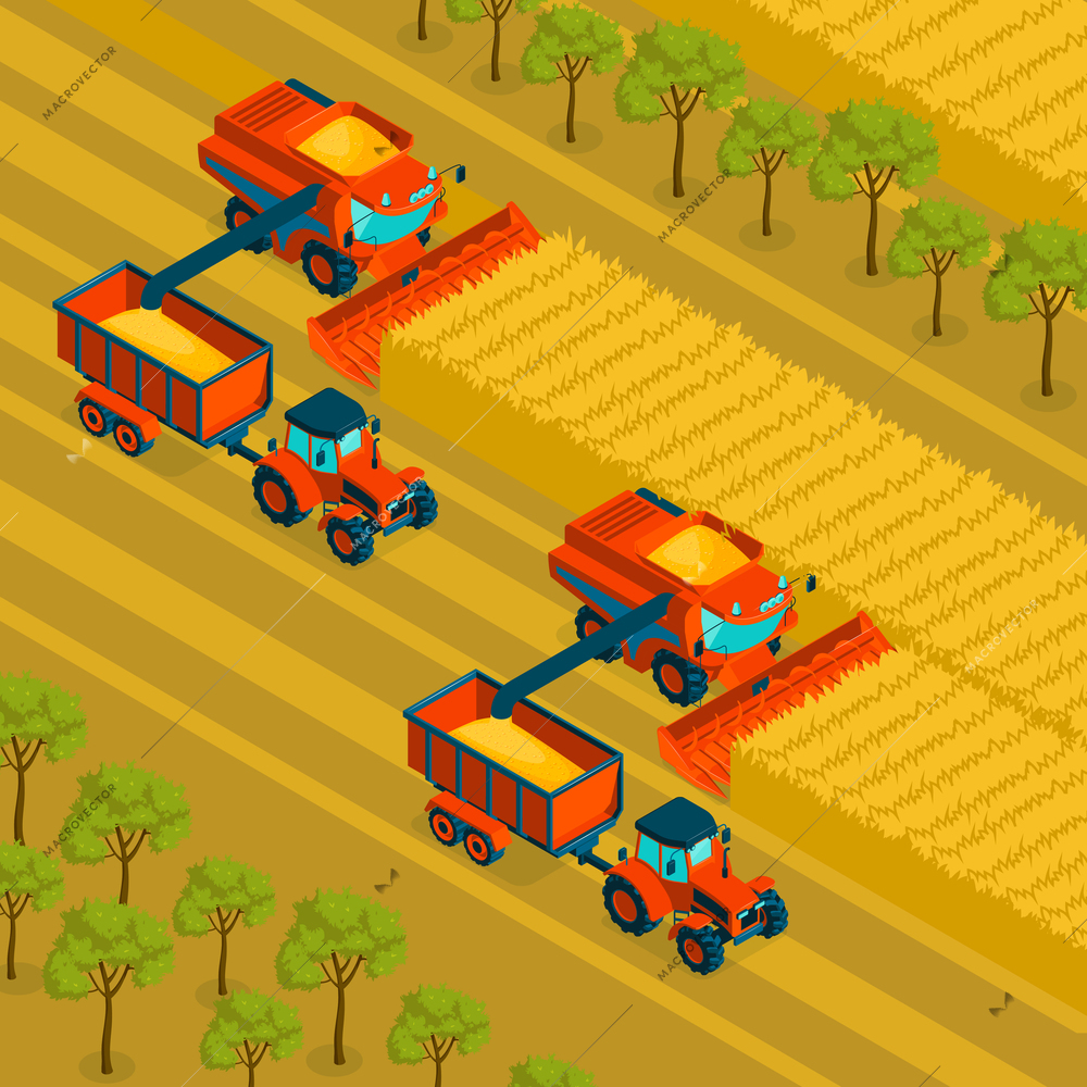 Agricultural isometric background with combine and tractor harvesting crop in grain fields vector illustration