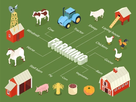 Farming isometric flowchart with farmhouse stall barn chickens laying house tractor livestock vegetables crops windmill vector illustration