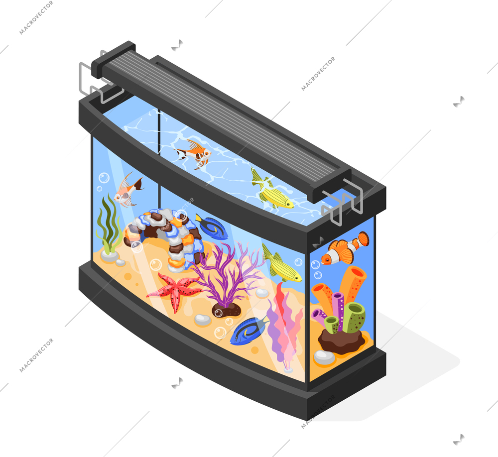 Big modern aquarium with exotic fish corals and plants isometric composition 3d vector illustration