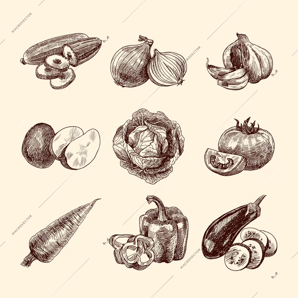 Vegetable natural organic food sketch set isolated vector illustration