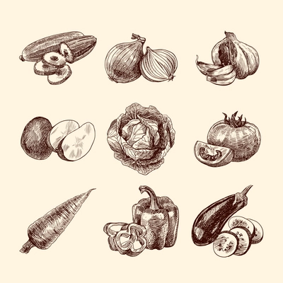 Vegetable natural organic food sketch set isolated vector illustration