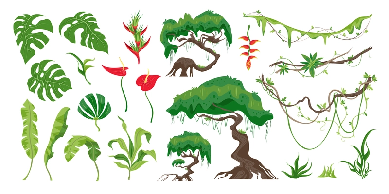 Set of jungle plants trees ferns creepers flowers and other rainforest details flat vector illustration