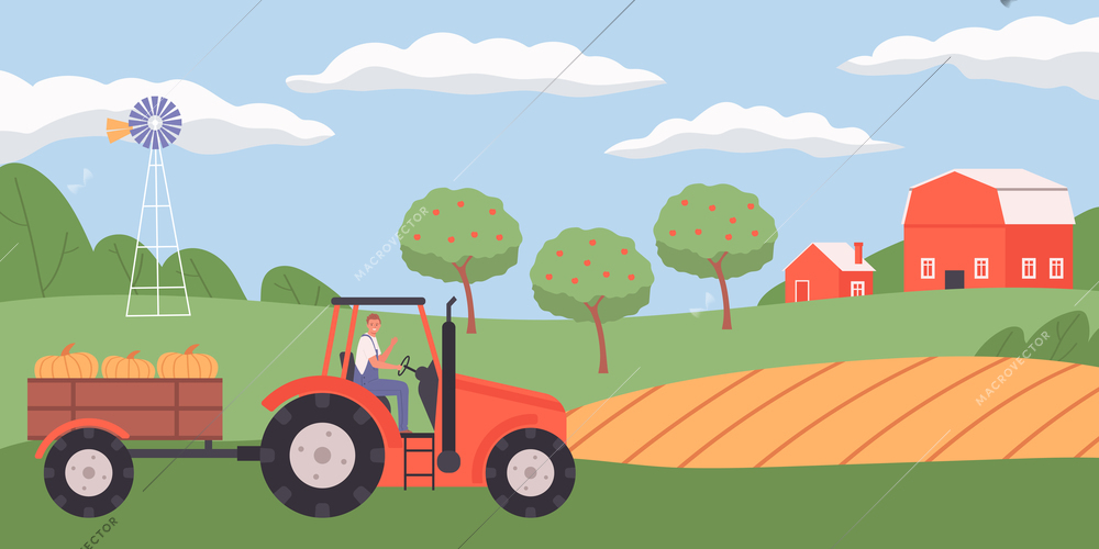 Flat agriculture background with farmer driving trailer and carrying harvested pumpkins in trailer vector illustration